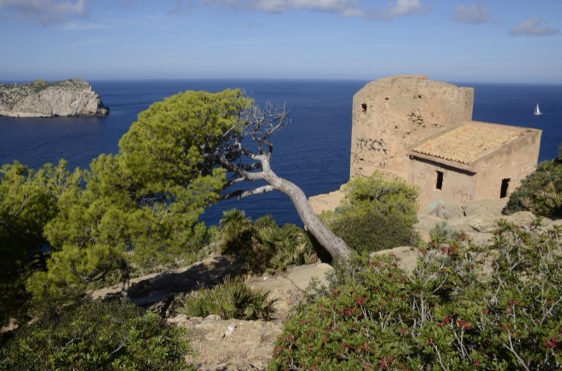 La torre de vigía de Cala en Basset sobre el mar, entre pinos y rocas de la costa.
